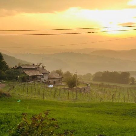 Bed and Breakfast Fattoria Branciana Rossena Экстерьер фото