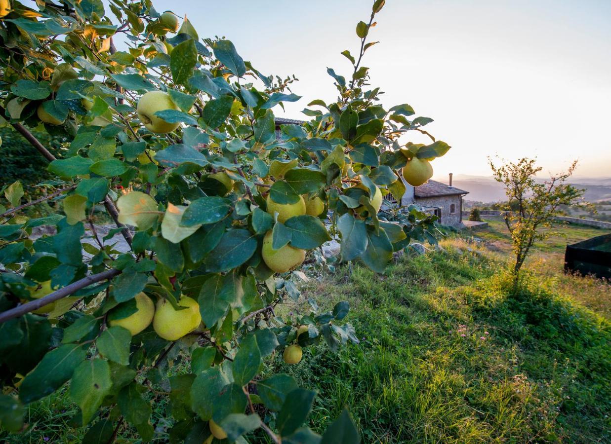 Bed and Breakfast Fattoria Branciana Rossena Экстерьер фото